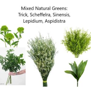 Mixed Natural Greens Pail